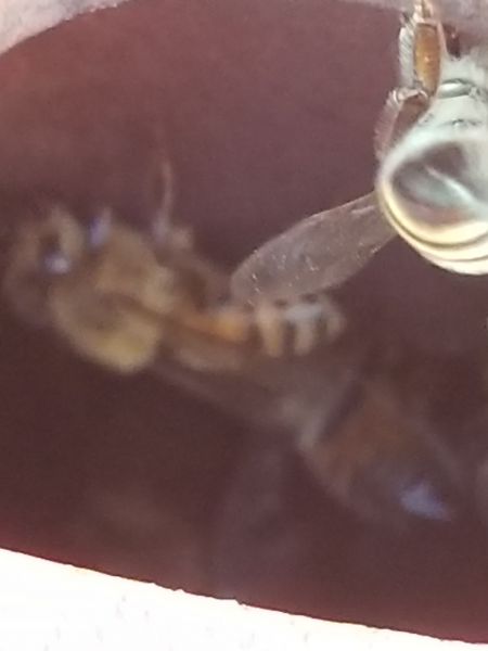 20190326_185640.jpg