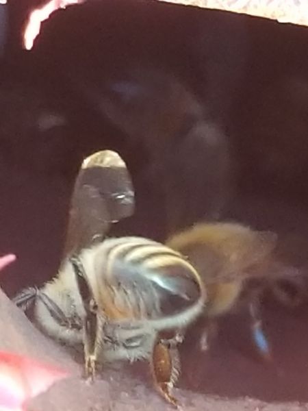 20190326_185642.jpg