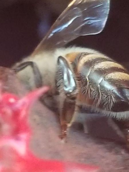 20190326_185653.jpg