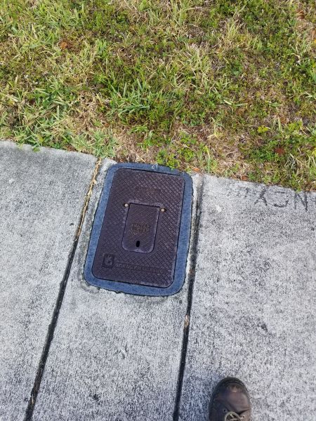 20190328_090104.jpg