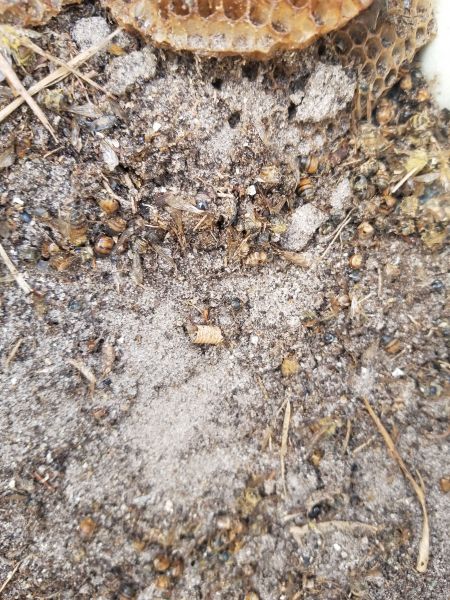 20190328_090247.jpg