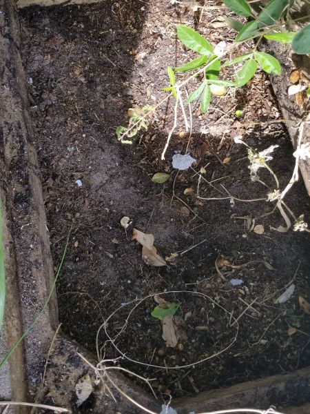 20190328_094312.jpg