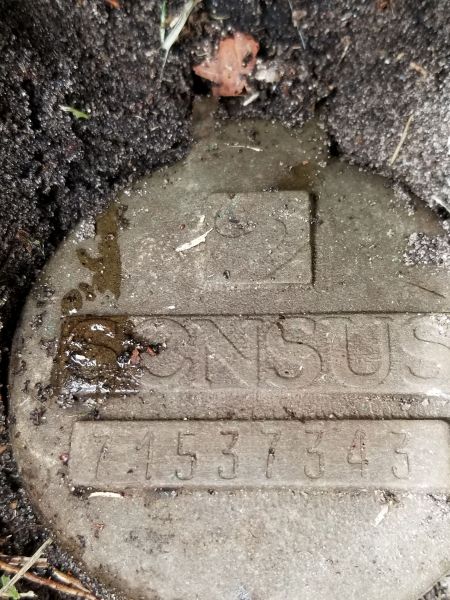 20190328_102645.jpg