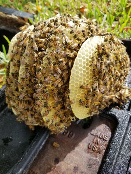 20190328_105202.jpg