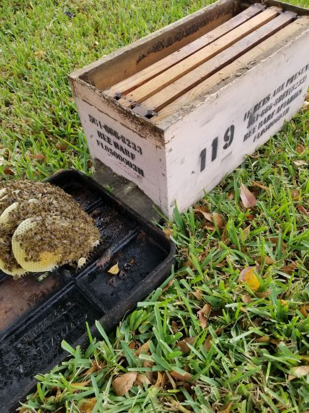 20190328_105332.jpg
