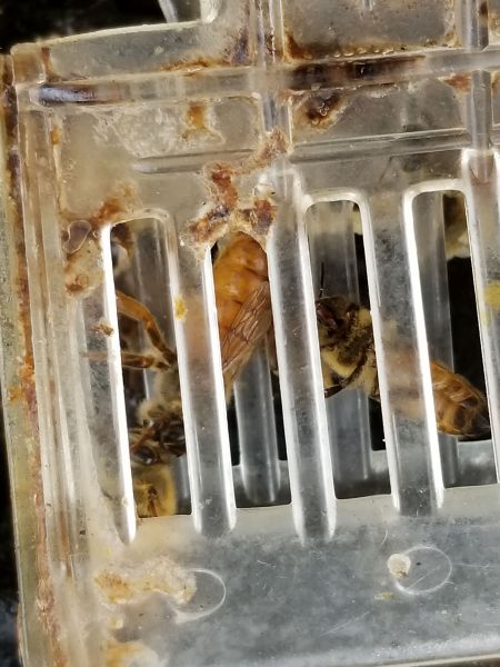 20190328_105744.jpg