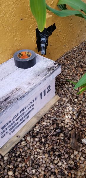 20190329_161937.jpg