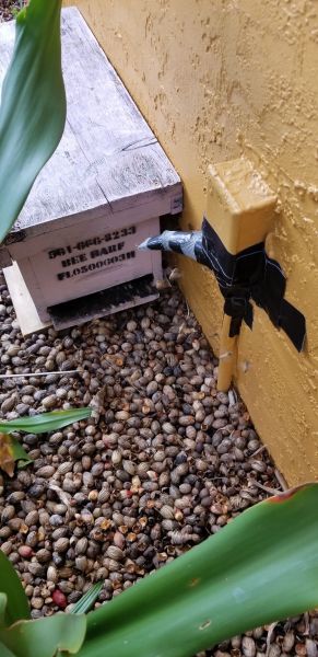 20190329_162110.jpg