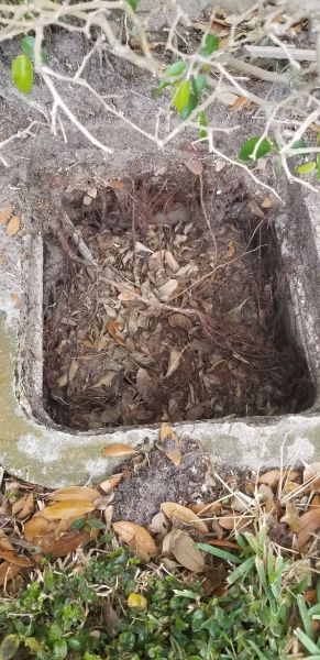 20190401_150125.jpg