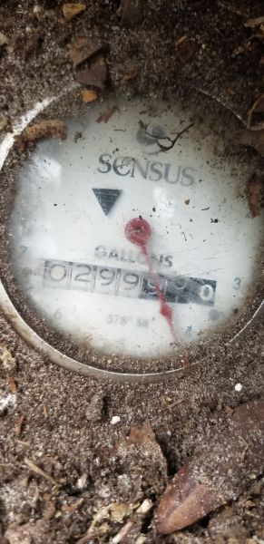 20190401_150236.jpg