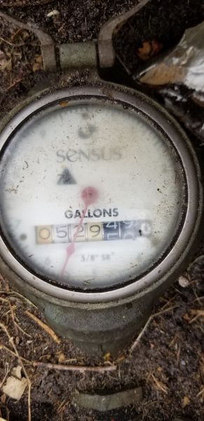 20190401_153536.jpg