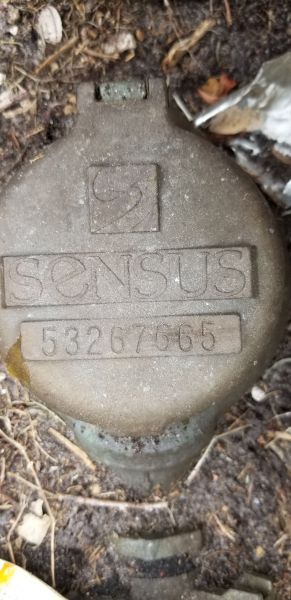 20190401_153539.jpg
