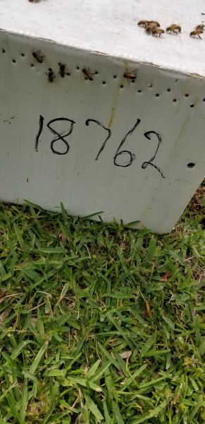 20190401_153913.jpg