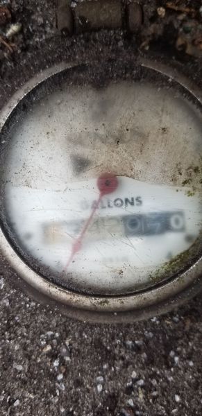 20190403_083802.jpg