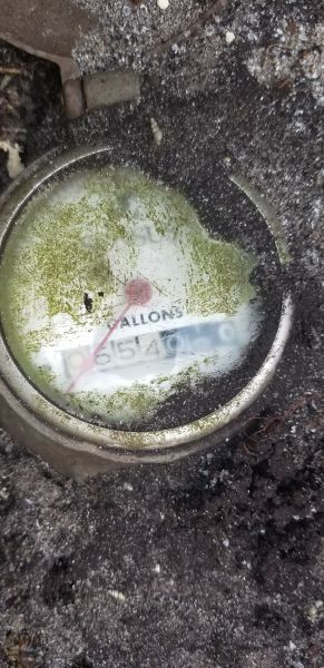 20190403_083819.jpg