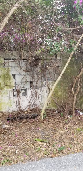 20190403_125830.jpg