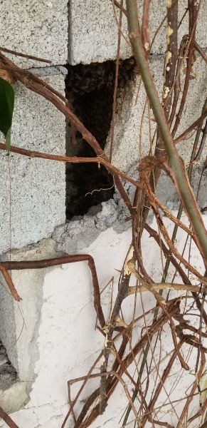 20190403_125843.jpg