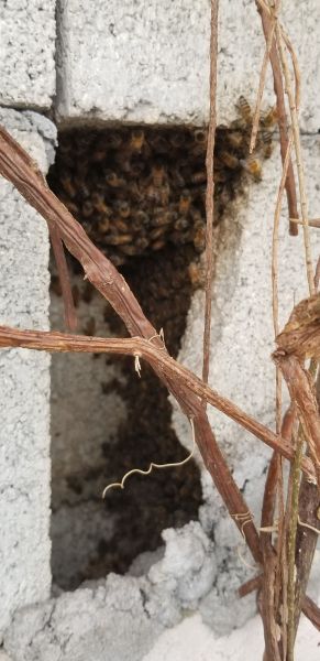 20190403_125846.jpg