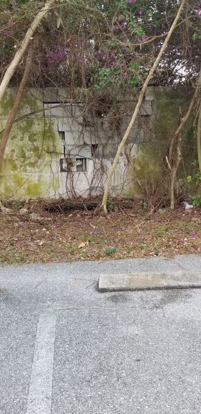 20190403_125954.jpg