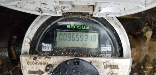20190404_183337.jpg