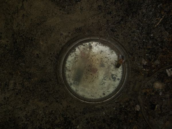 20190404_211425.jpg