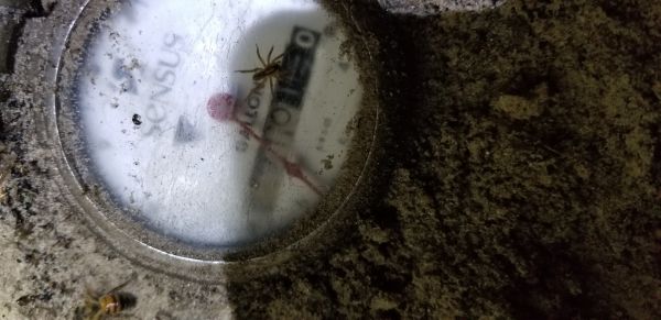 20190404_211513.jpg