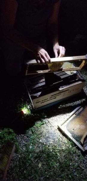20190404_214038.jpg