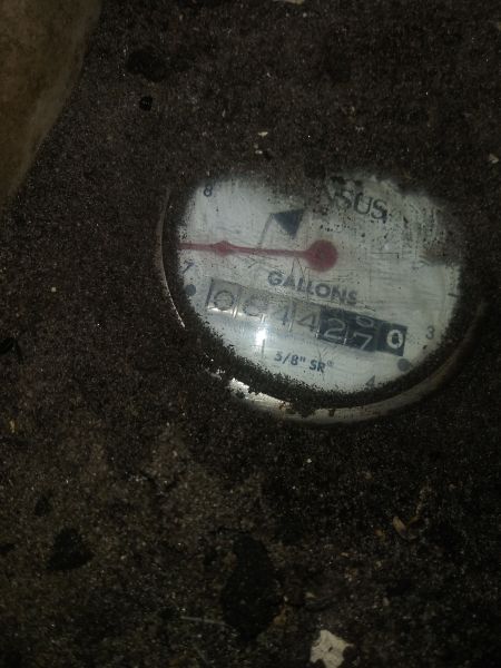 20190404_214350.jpg