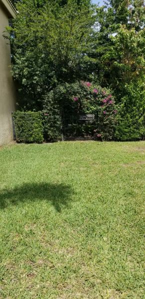 20190405_144145.jpg