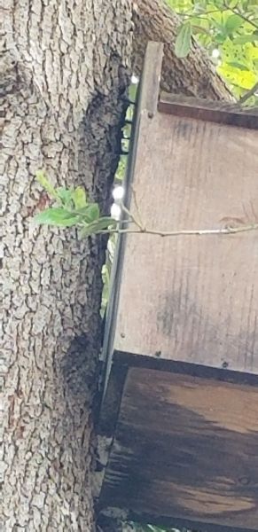 20190405_144313.jpg