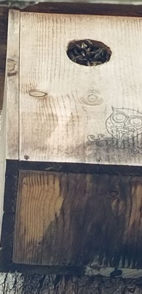 20190405_144326.jpg