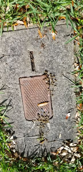 20190405_160417.jpg