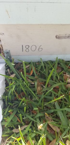20190405_161552.jpg