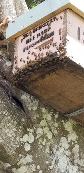 20190406_131302.jpg
