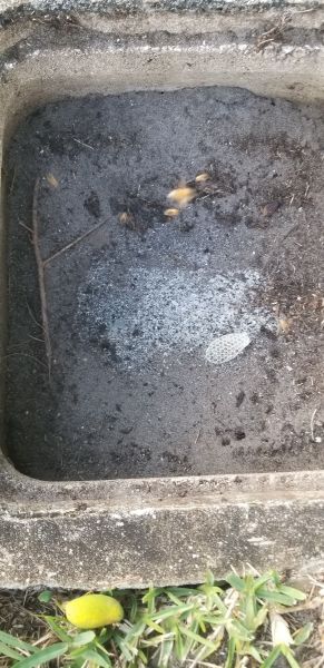20190408_183040.jpg