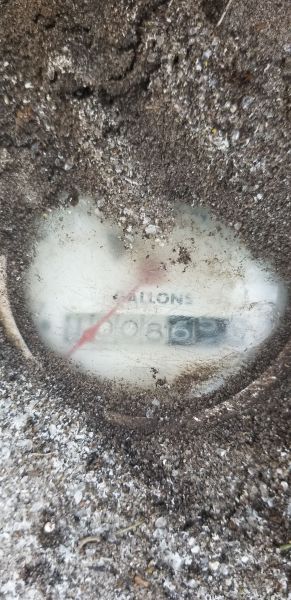 20190408_183107.jpg