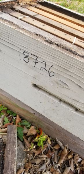 20190409_085923.jpg