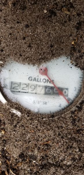 20190409_133346.jpg