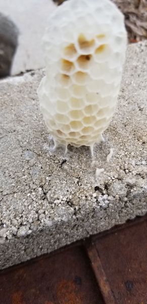 20190409_133542.jpg
