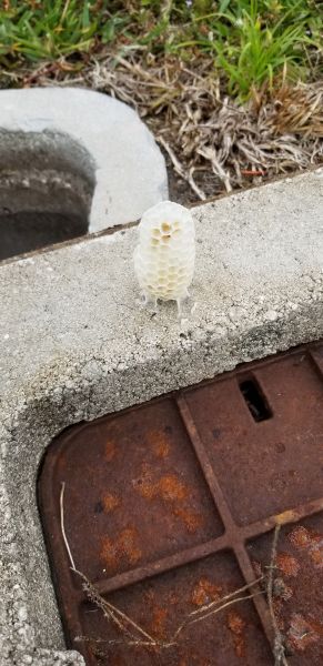 20190409_133544.jpg