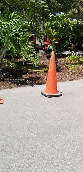 20190410_125857.jpg