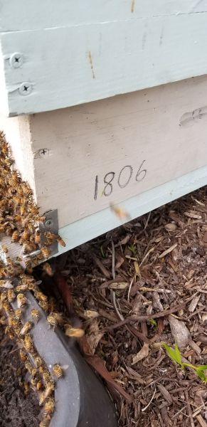20190410_132605.jpg