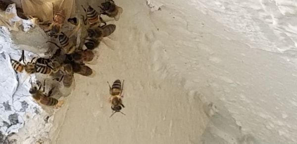 20190410_163342.jpg