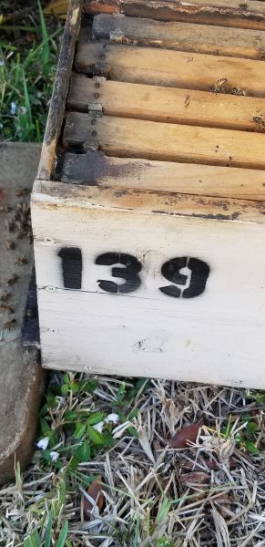 20190410_182015.jpg