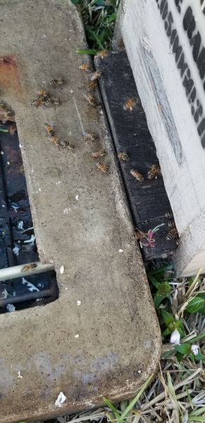20190410_182026.jpg