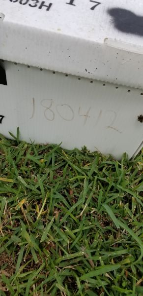 20190411_130754.jpg