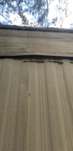 20190412_141928.jpg