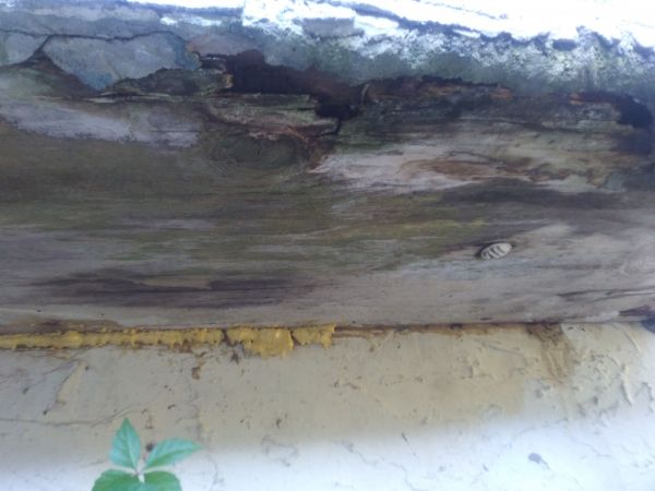 20190412_182842.jpg