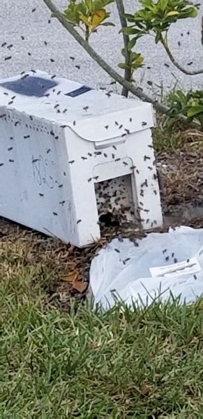 20190415_144415.jpg