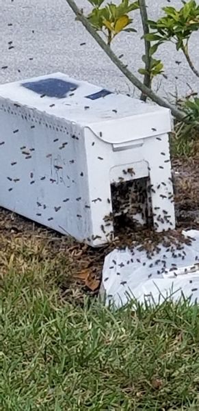 20190415_144502.jpg